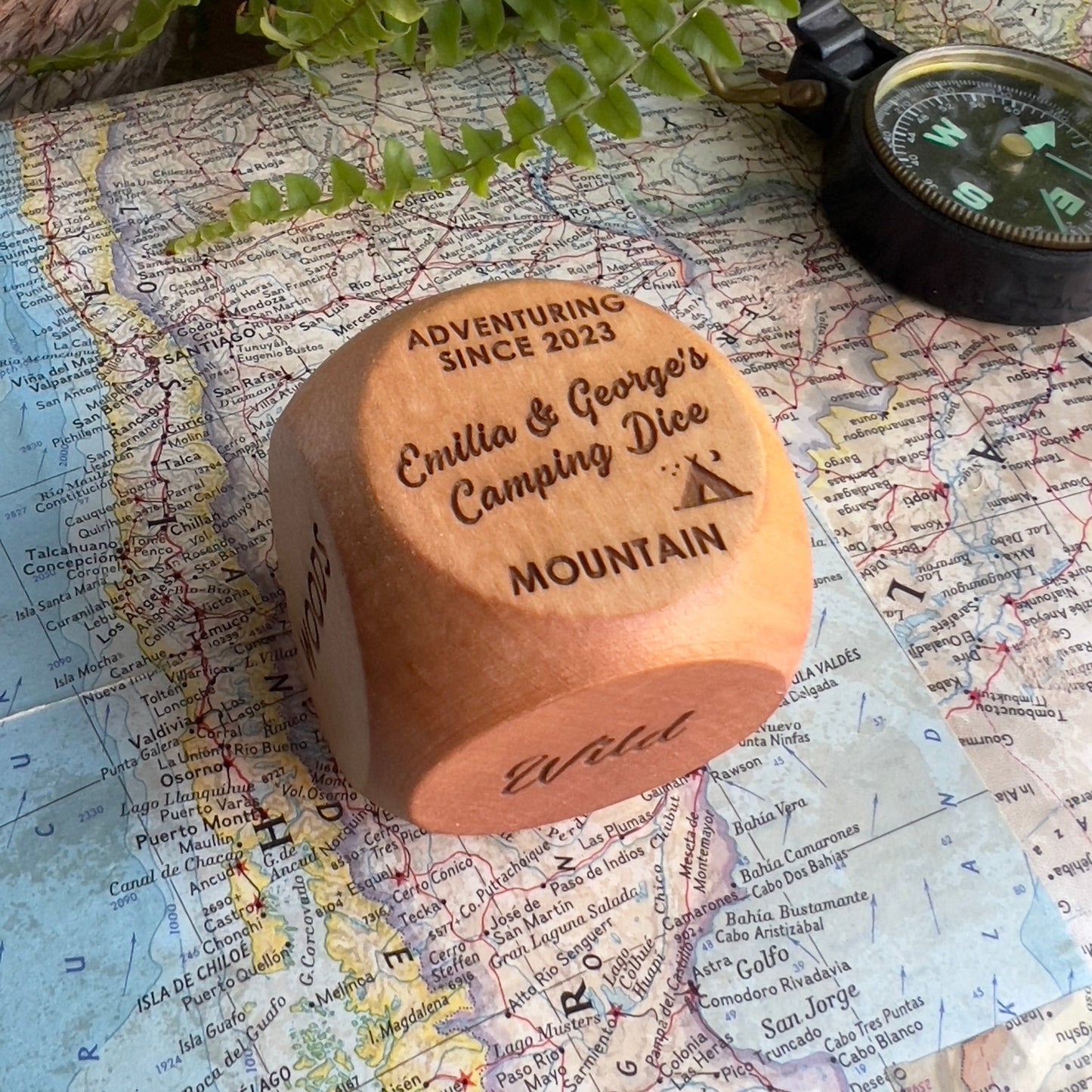 Personalised Camping Decision Dice