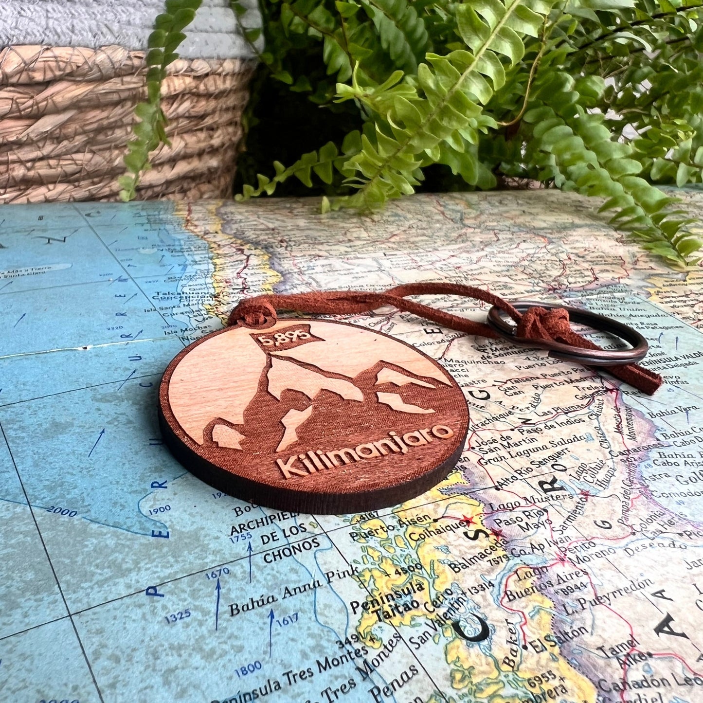 Kilimanjaro Bag Tag